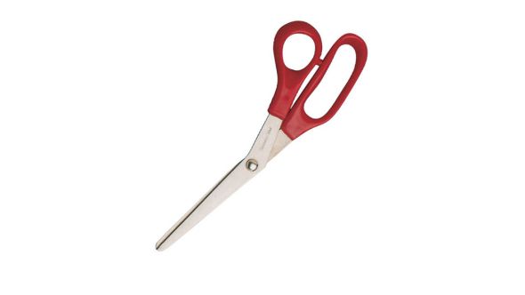 Scissors  Plastic Handled