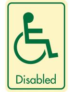 Disabled symbol with text. Cream on green. F/M